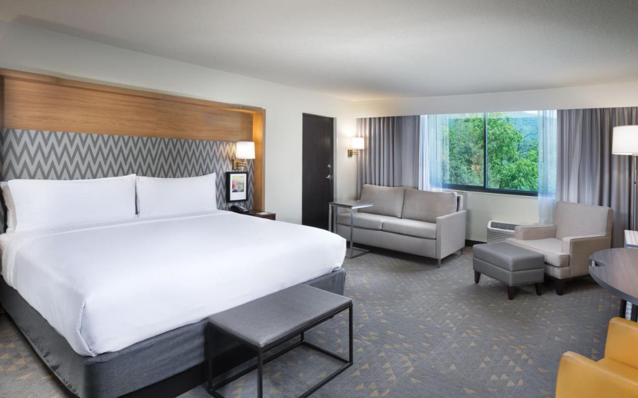 Holiday Inn Asheville East-Blue Ridge Pkwy By Ihg Экстерьер фото