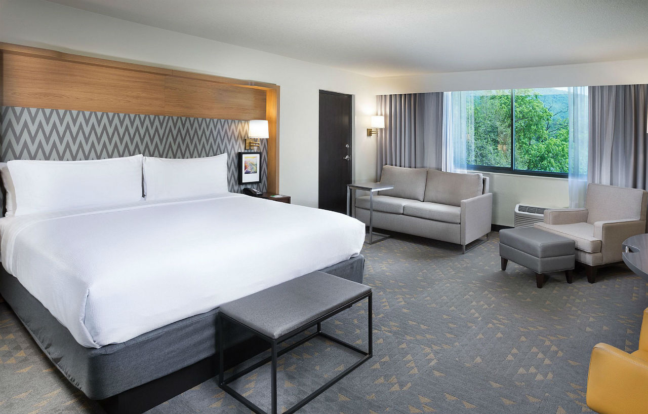 Holiday Inn Asheville East-Blue Ridge Pkwy By Ihg Экстерьер фото